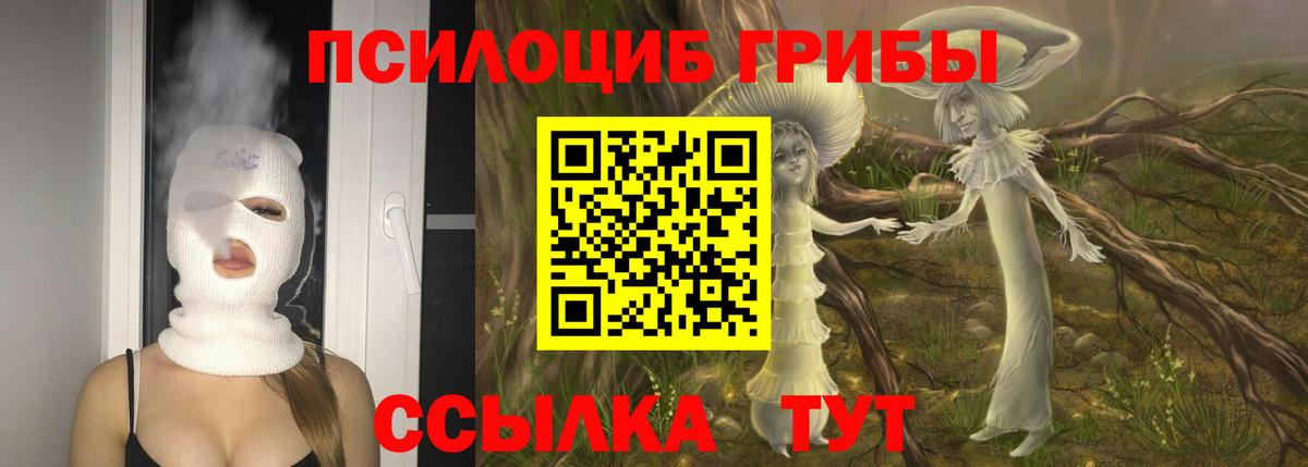 Кашира  Галлюциногенные грибы Psilocybe  Вход с VPN 